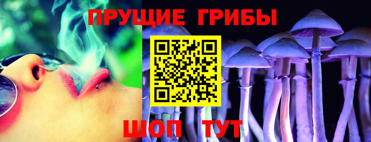 Грозный  Псилоцибиновые грибы мицелий  Вход с VPN 